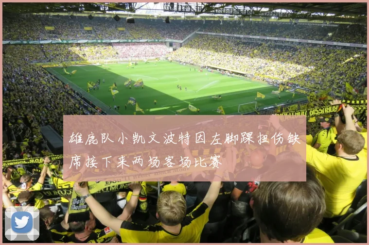 雄鹿队小凯文波特因左脚踝扭伤缺席接下来两场客场比赛