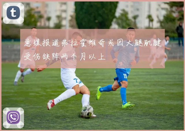 意媒报道弗拉霍维奇或因大腿肌腱受伤缺阵两个月以上