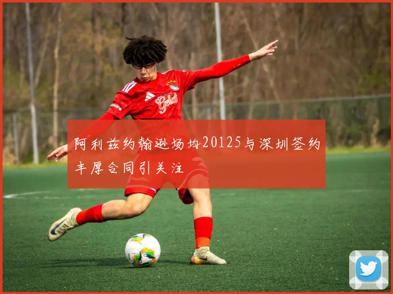 阿利兹约翰逊场均20125与深圳签约丰厚合同引关注